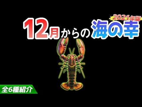 【あつ森】12月から捕れる海の幸を紹介！ロブスターやクルマエビなどベルも稼げるレアな生き物が大量！出現時間・影のサイズ・捕まえ方・値段など解説【あつまれどうぶつの森　12月海の幸図鑑コンプリート】