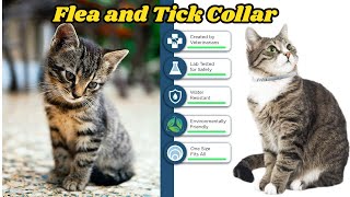 Flea and Tick Collar for Cat, Made with Premium Plant Based Essential Oil, Waterproof