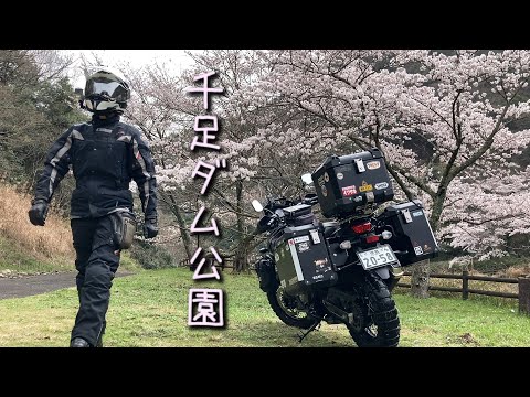 千足ダム公園の桜【V-Strom650XT】