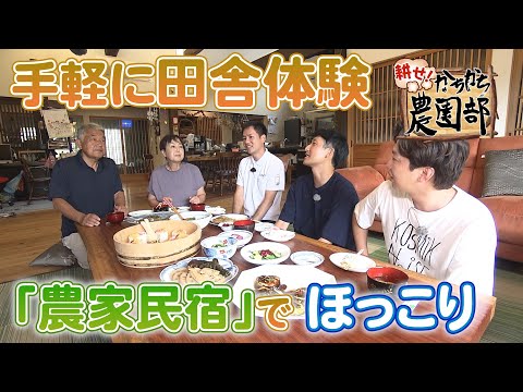 【農園部22】農家民宿でほっこり。伊万里で手軽に田舎体験