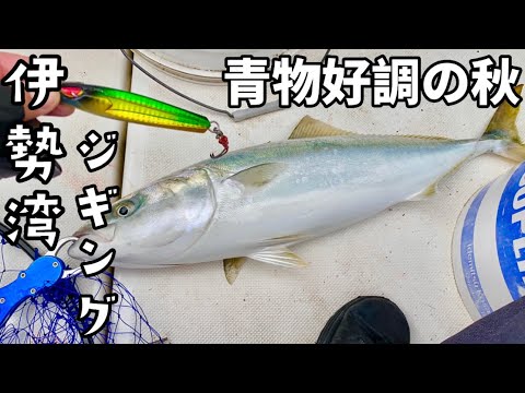 初心者にオススメ！！秋の伊勢湾ジギング