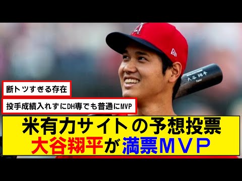 【なんj】米有力サイトの予想投票した結果…大谷翔平が満票MVPを獲得wwww