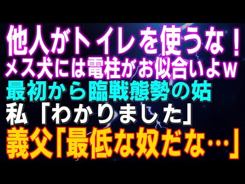 【スカッとする話】「他人がトイレを使うな！メス犬には電柱がお似合いよｗ」最初から臨戦態勢の姑 私「わかりました」義父「最低なやつだな…」