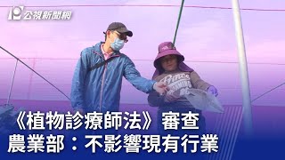 《植物診療師法》審查 農業部：不影響現有行業｜20240613 公視晚間新聞