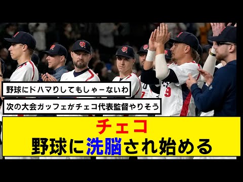 【なんj】チェコ、野球に洗脳され始める