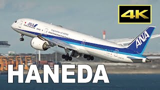 [4K] 200 jets from morning to night - plane spotting at Tokyo Haneda Airport / 羽田空港 JAL ANA