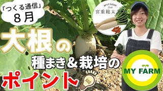 大根の育て方を徹底解説！種まきから収穫タイミングまで【8月つくる通信】