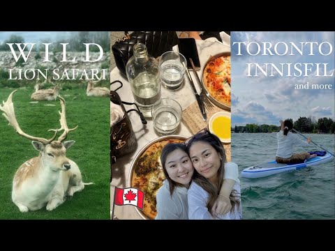 🇨🇦 toronto in 5 days 🍷 tipsy wine tasting, paddle boarding, animal safari + avengers exhibition