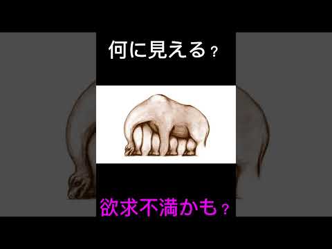 何に見える？