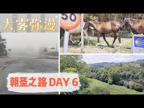 vlog｜朝圣之路第六天 大雾中行走｜遇见了很多可爱的动物 前往Ponte Ulla｜边走边听仙剑音乐｜ Galicia｜ “圣地亚哥之路” 徒步旅行｜西班牙 Spain｜小米丘XiaoMiChu