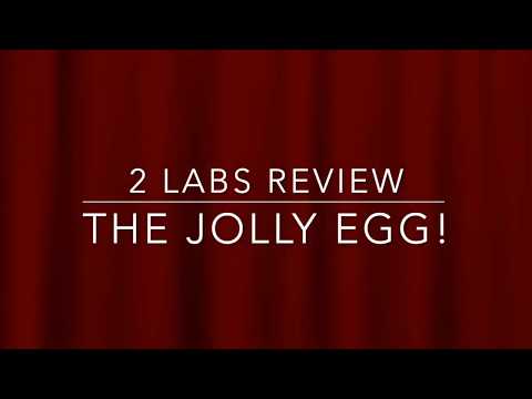 Dog toy review: the Jolly Egg