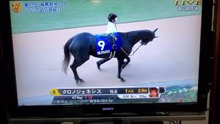 パドック　2020　有馬記念　2500m