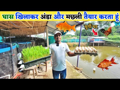 छोटे से जमीन में मछली पालन + मुर्गी पालन करके लाखों कमाता हूँ | Desi poultry farming + Fish farming