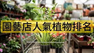 綠意生活：排名十種園藝店植物