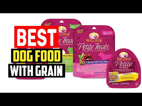 ✅Top 5 Best Dog Food With Grain in 2023