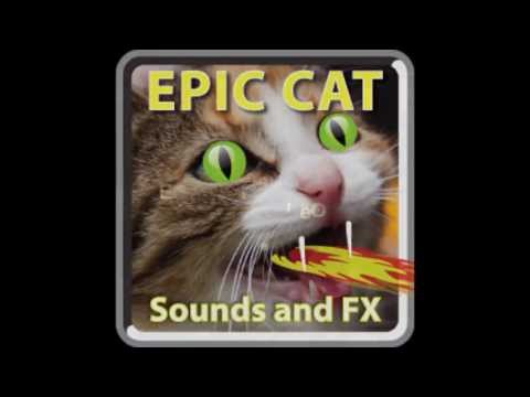 Epic Cat Sounds and FX App Promo #2