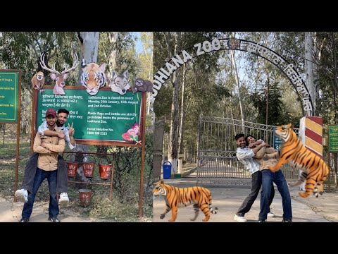 Ludhiana Zoo || Ludhiana tiger safari 🐅 || just siraj Vlogs || famous place 😲😲￼