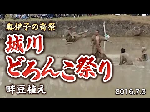 【奥伊予の奇祭】城川どろんこ祭り2016(御田植祭)