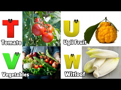 Fruit ABC Song for Children | Phonics for Kids | Learn English Alphabet Letters