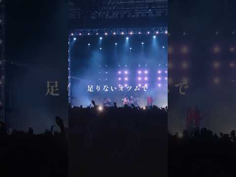 「ノールス」LIVE(2023.12.31@COUNTDOWN JAPAN 23/24)