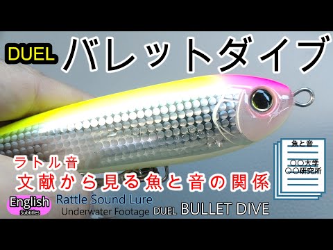 Rattle Sound Lure  Underwater Footage How Fish Feel Noise  DUEL BULLET DIVE Stick Bait