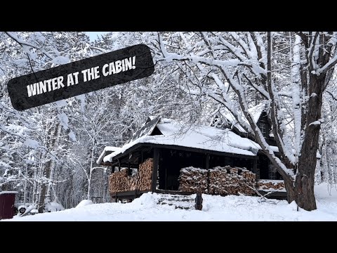 Winter At The Cabin | Maple Syrup Season