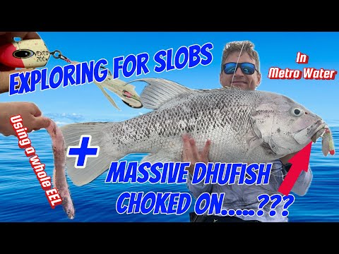 Exploring for Slobs Solo | Fishing Perth Metro & Massive Dhufish Choked on…? [include: Wing Removal]