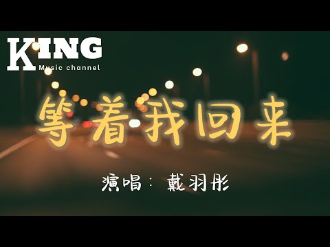 等着我回来-戴羽彤【愿扬起的帆，有人翘首期盼。愿分离的人，捱过想念的难。】［动态歌词］