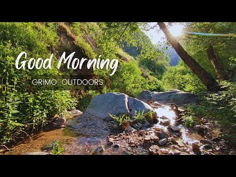 Morning in the mountains ❤ ASMR Nature Sounds