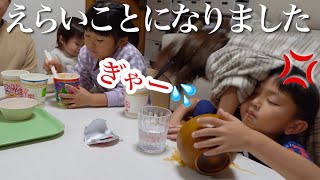 【偏食問題】解決しようと思ったらえらい事なりました