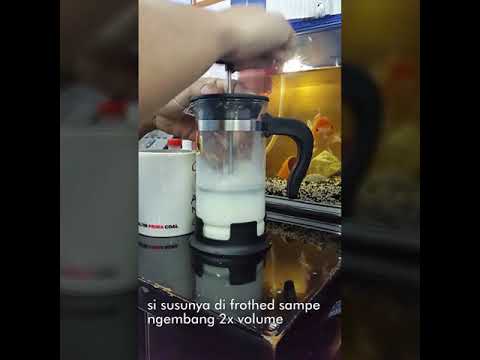 Sho'vlog #5 How to make cafelatte with frenchpress