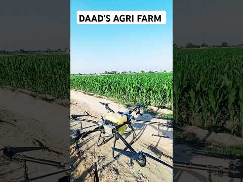 Massive Size Drone | DAAD'S AGRI FARM | #drone #drones #farmer #farming #agriculture #dronesense