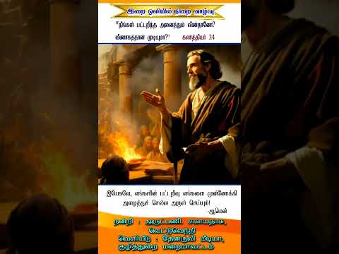 இன்றைய இறைசிந்தனை| நமது பட்டறிவு நம்மை முன்னோக்கி அழைத்துச் செல்லட்டும்) 10.10.2024