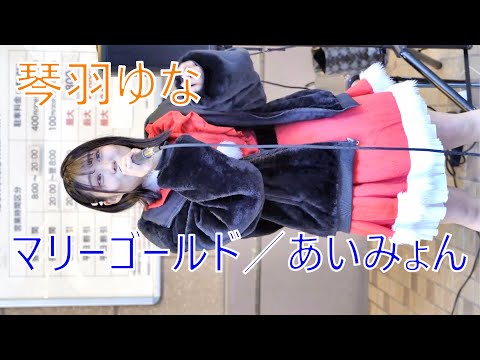 【マリーゴールド／あいみょん】琴羽ゆな (ことは ゆな) 路上ライブ（サンタ衣装）