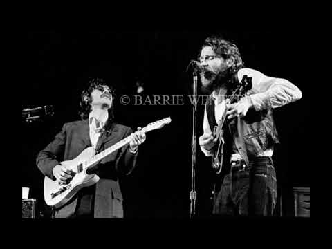 Live at Central Park - The Band - Audience recording