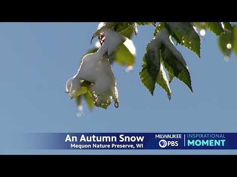 Milwaukee PBS Presents | Inspirational Moments | An Autumn Snow