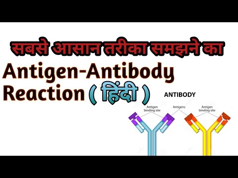 Antigen-Antibody Reaction in ( हिंदी) Essy Way To Explain.