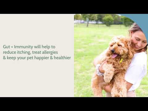 Pet Drs Gut + Immunity Product Info Video