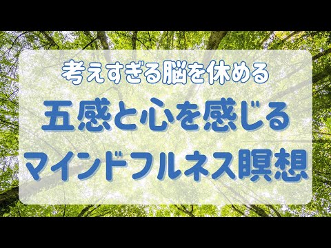 【脳の疲労低減 瞑想】今を感じるマインドフルネス/ オープンモニタリング観察瞑想