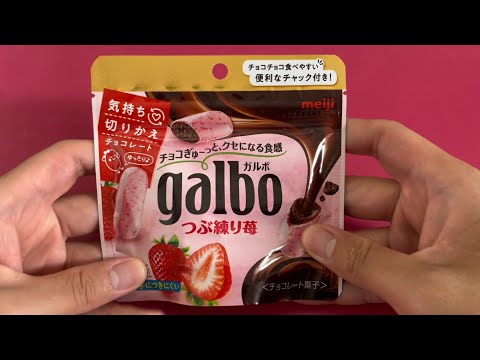 galbo chocolate [Japan sweets]