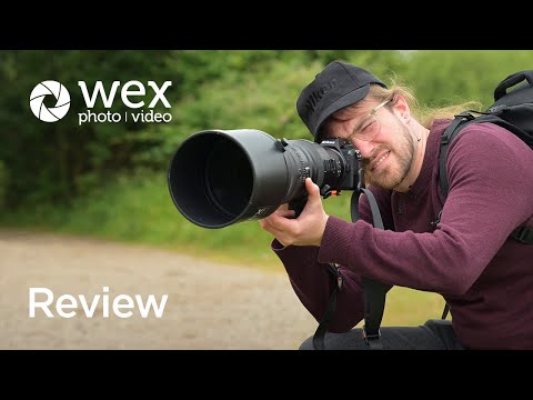 Review | The Nikon Z6 III Camera at Knepp Wildland Safari