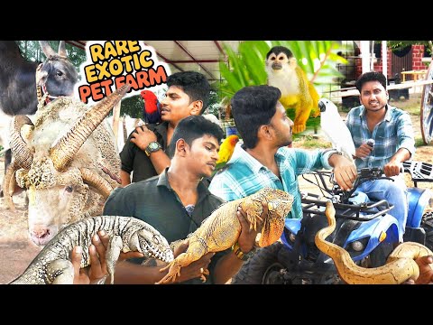 🔥 தரமான Spot! - exotic pets in tamil | Rare Exotic FARM TOUR | farm house