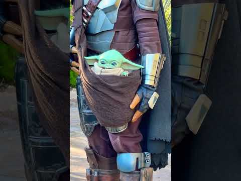 Grogu (Disneyland - Star Wars: Galaxy's Edge) #grogu #mandalorian #starwars #disney #disneyland