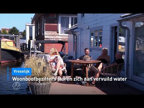 🛥️ Woonbootbezitters storen zich aan vervuild water | Hart van Nederland