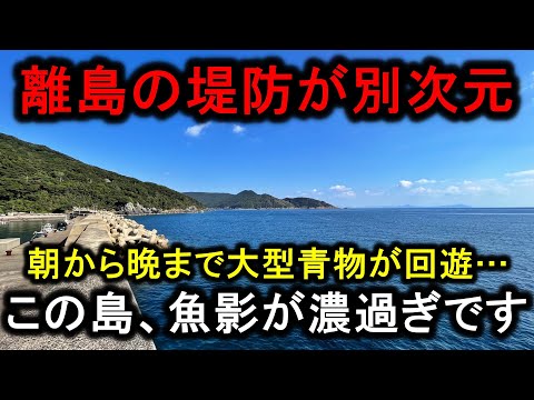 【離島単独遠征】この島の堤防…朝から晩まで大型青物が回遊して来て凄すぎです