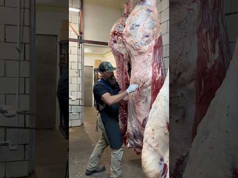 Breaking Beef! #shorts #shortvideo #viral #trending #beef #bbq #steak