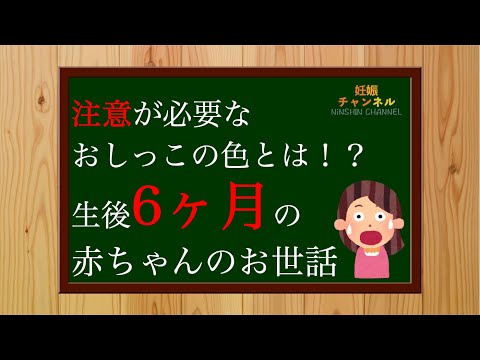 【生後6ヶ月①】注意すべきおしっこの色とは？生後6ヶ月のお世話の仕方👶