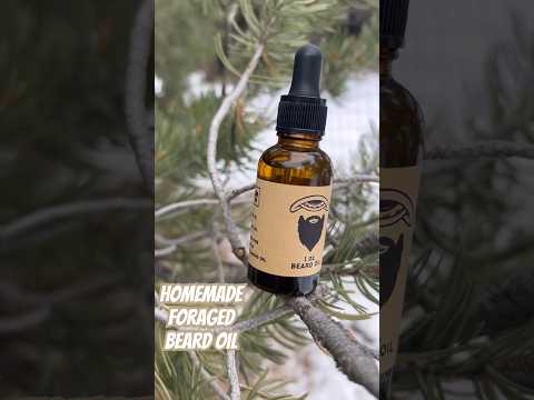 DIY Pine Beard Oil for Growth | Foraged & Homemade  #shorts #homemade