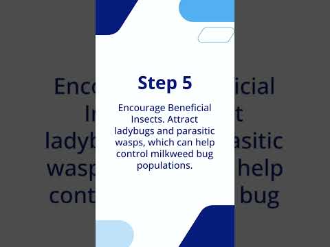 How To Get Rid of Milkweed Bugs #shorts