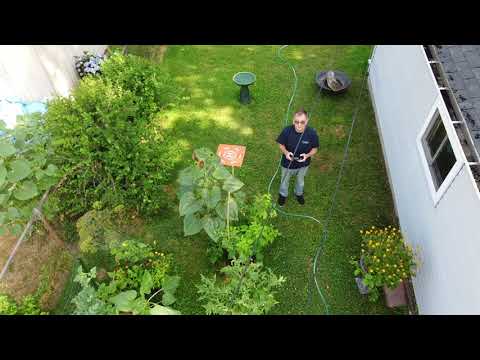 Mavic Mini - backyard test flight #1